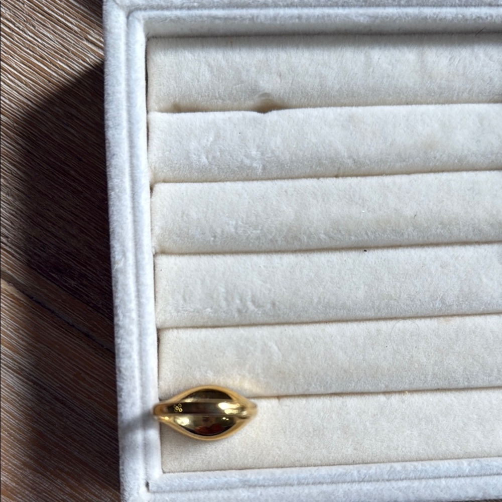 Blue and Gold Oval Abalone Stone Ring - Picture 5 of 6